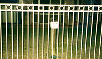 Garden Fencing Sydney